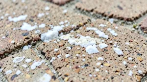 Wykwity na płytkach klinkierowych