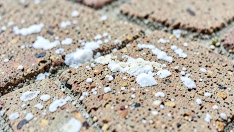 Wykwity na płytkach klinkierowych