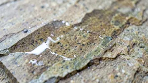 Żywica epoksydowa do kamienia