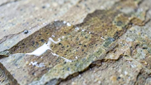 Żywica epoksydowa do kamienia