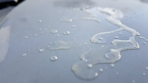 Żywica na lakierze samochodowym