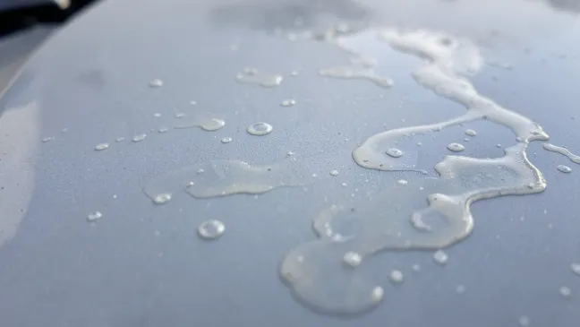 Żywica na lakierze samochodowym